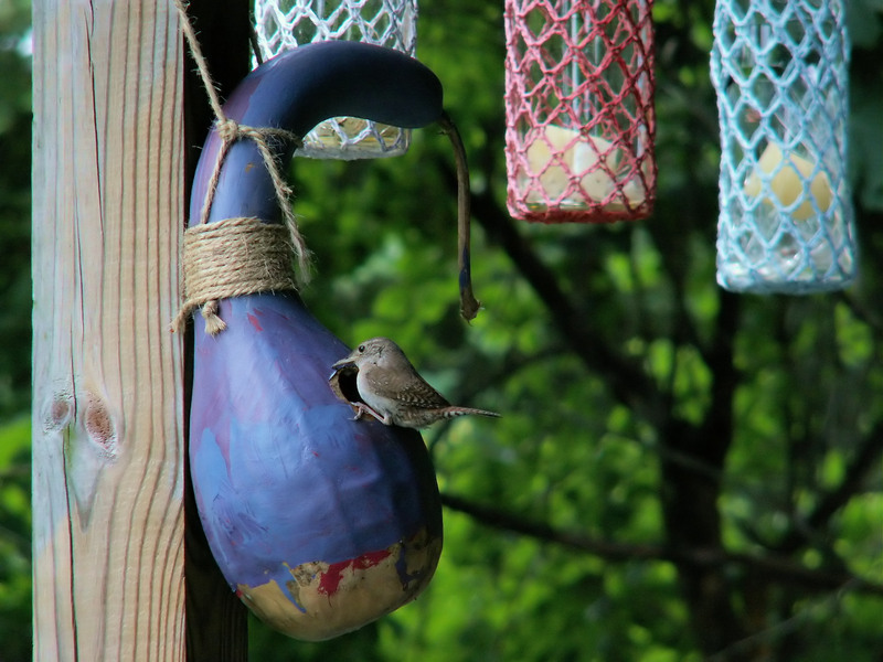 Simple Pre-Party Cleaning Checklist for Busy Hosts